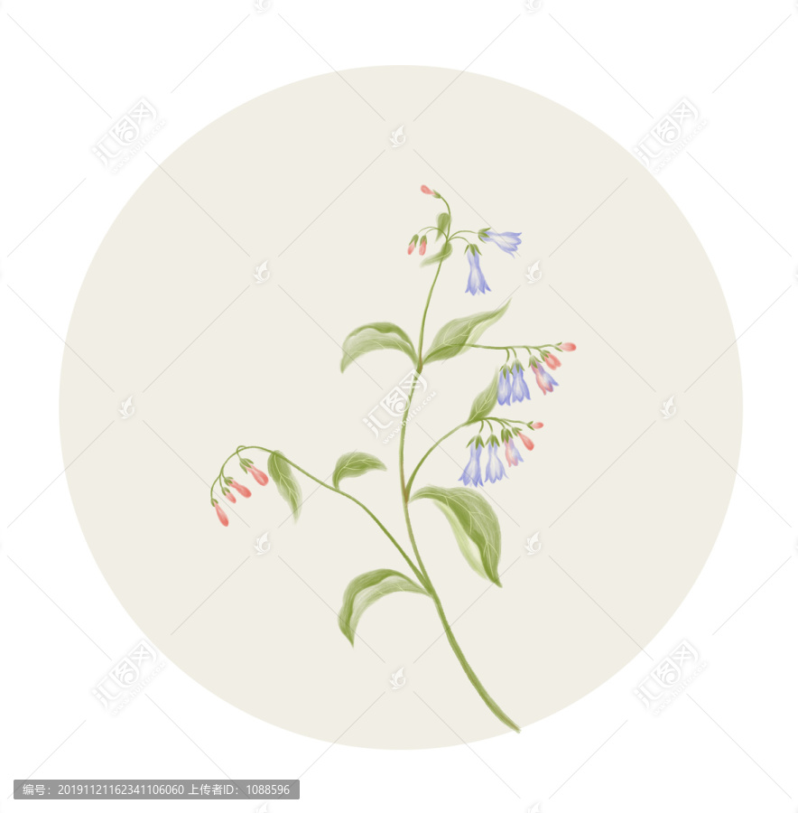 植物裝飾畫(huà)