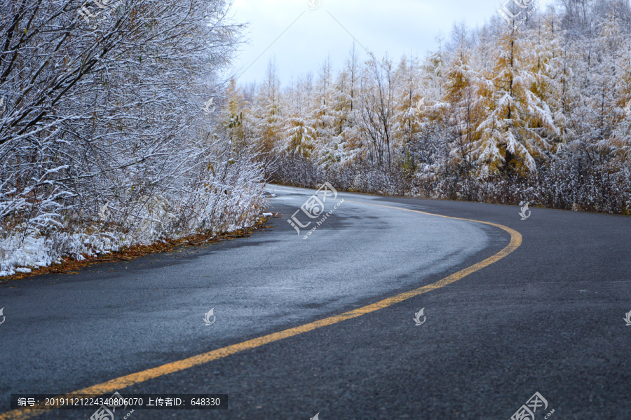 秋雪树林