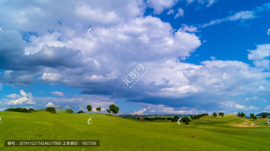 蓝天白云草地