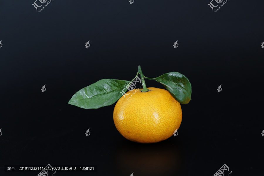 香甜的橘子桔子单色黑色背景插图