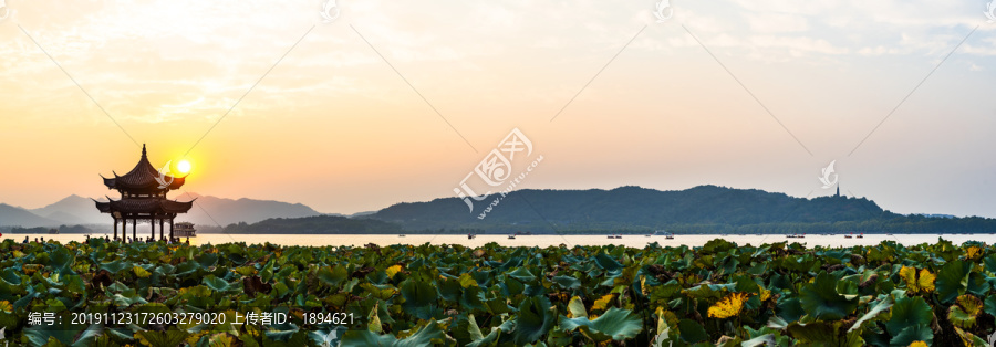 西湖集贤亭夜景全景