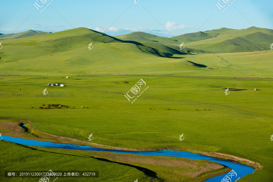 丘陵草原河流马群