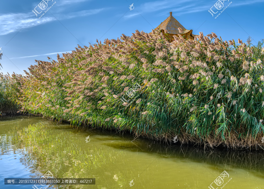 博斯腾湖大河口景区