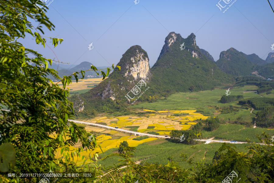 金秋风景