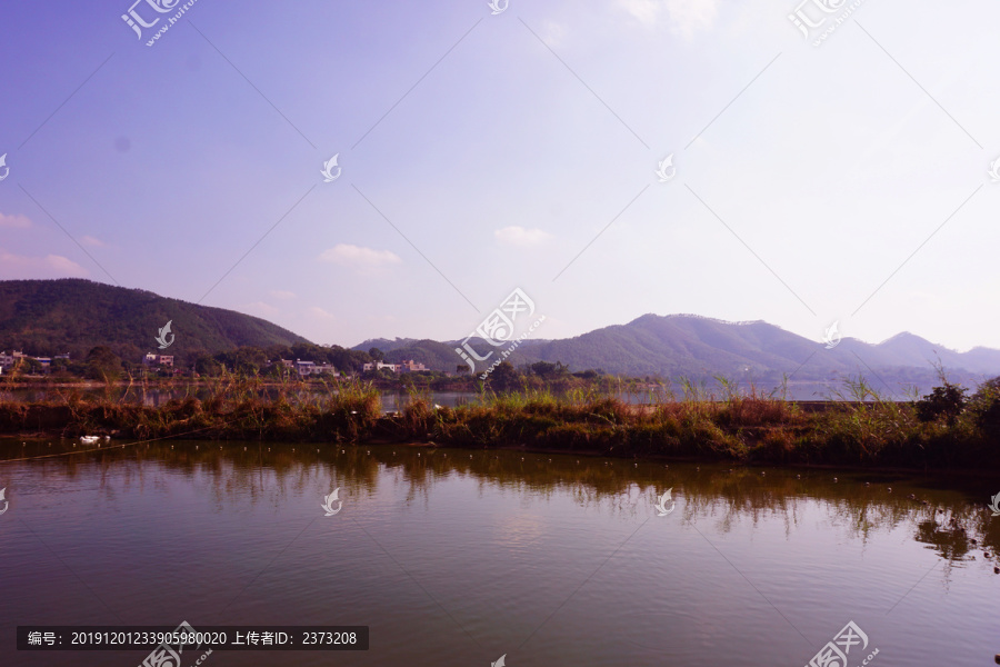 池塘风格