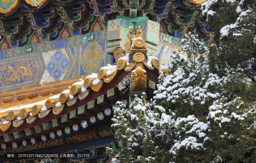 北京故宫御花园雪景