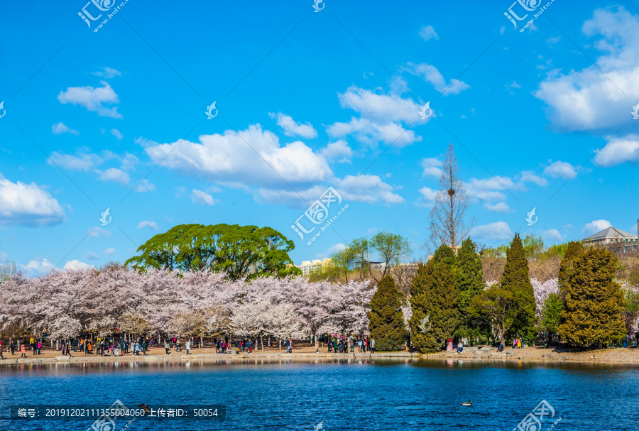 春天城市风景