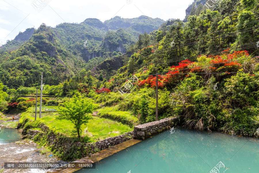 青山绿水