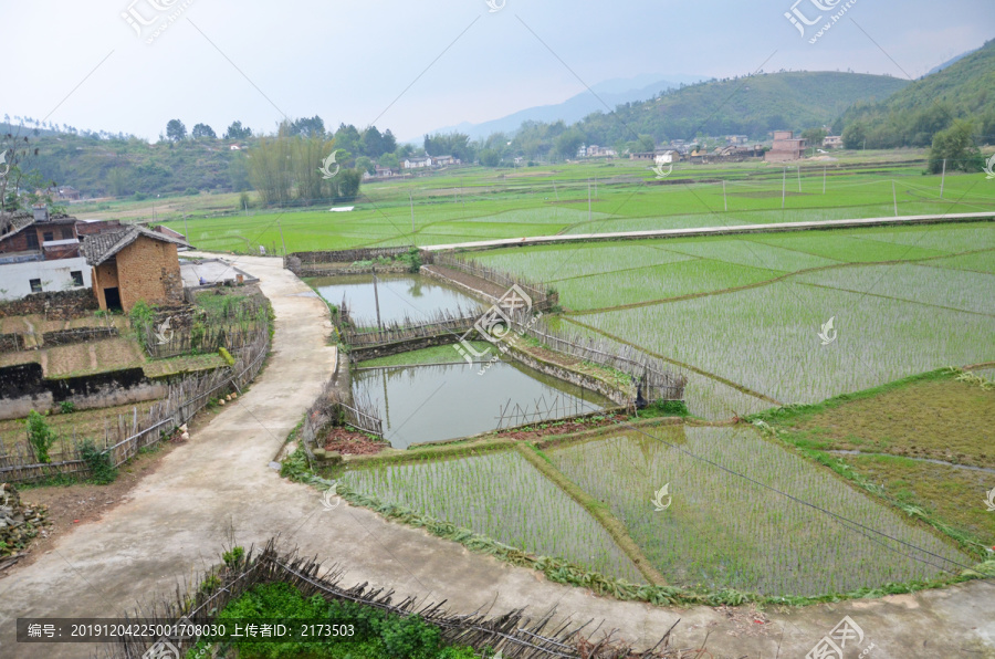 广东农村