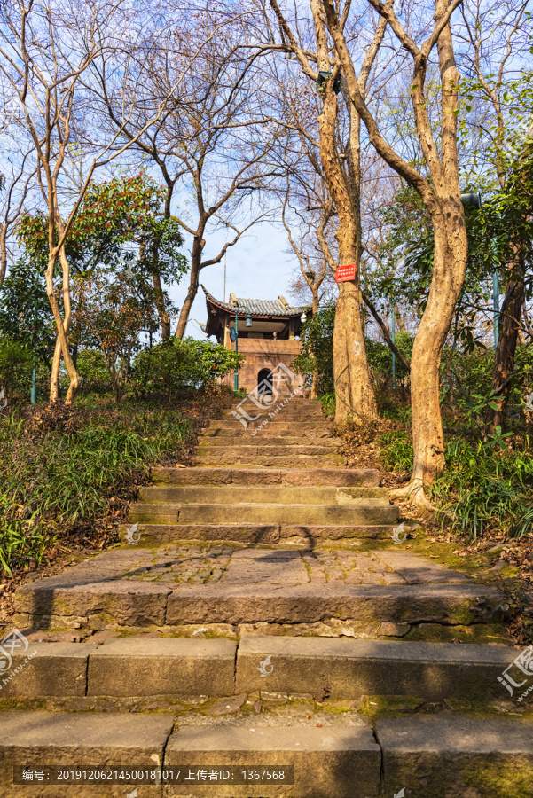 登山小路