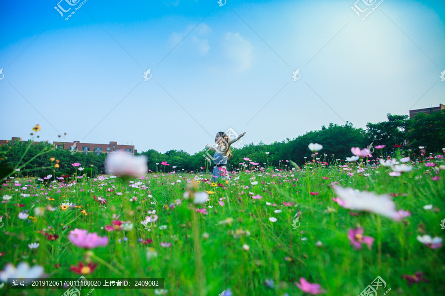 唯美小清新女孩与花