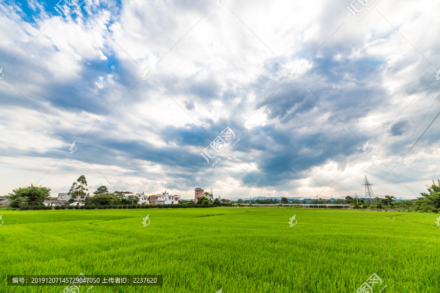 田园