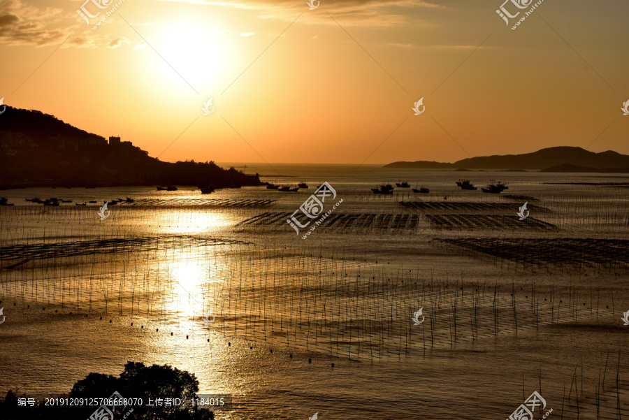 霞浦海产养殖场清晨的光影