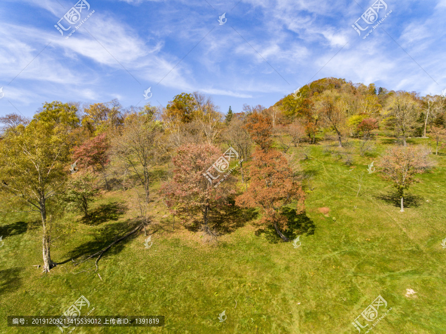 吉林花山国家森林公园