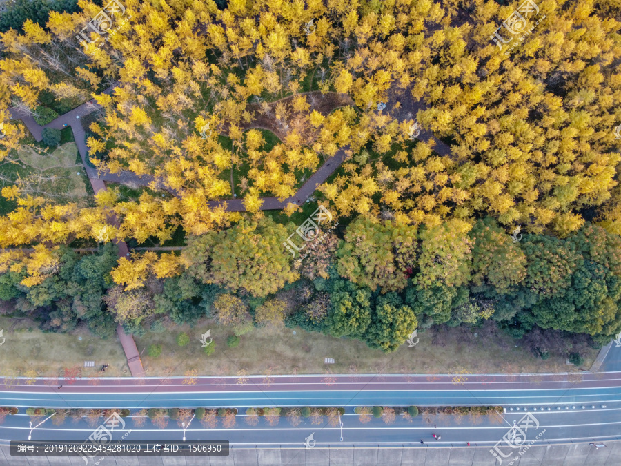 杭州市滨江区闻涛路最美跑道