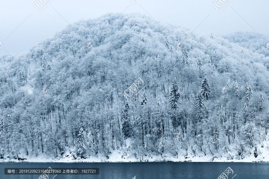 积雪森林