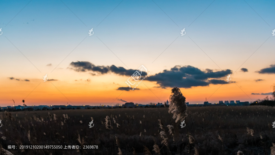 夕阳与芦苇