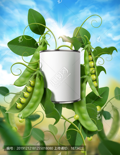 青豆植物長(zhǎng)出罐頭