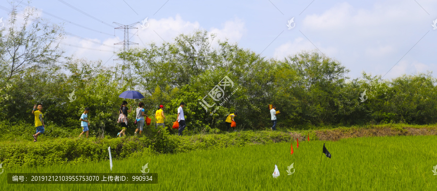 田野