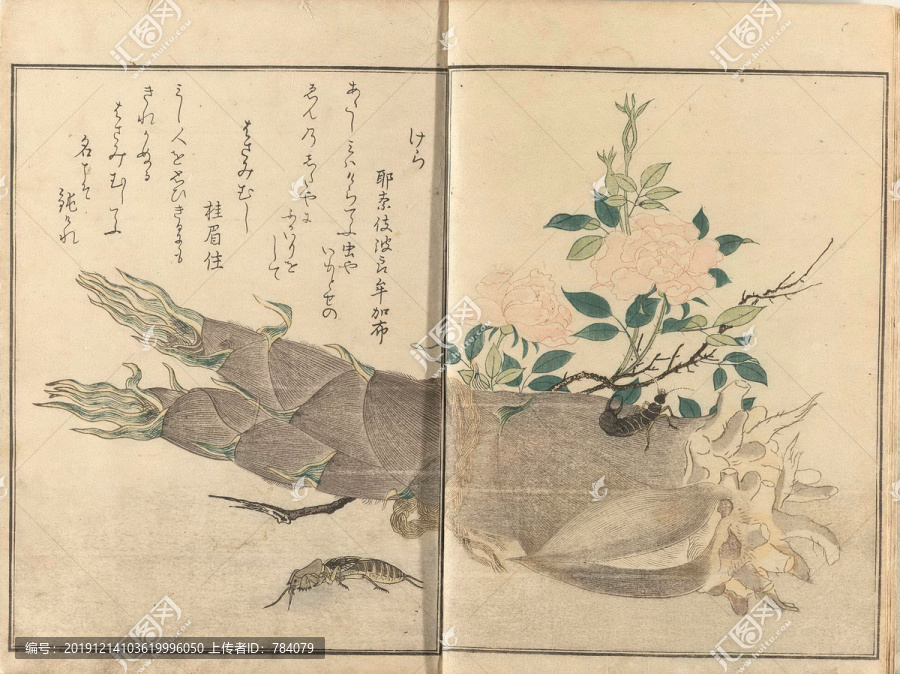 喜多川歌麿竹筍和花