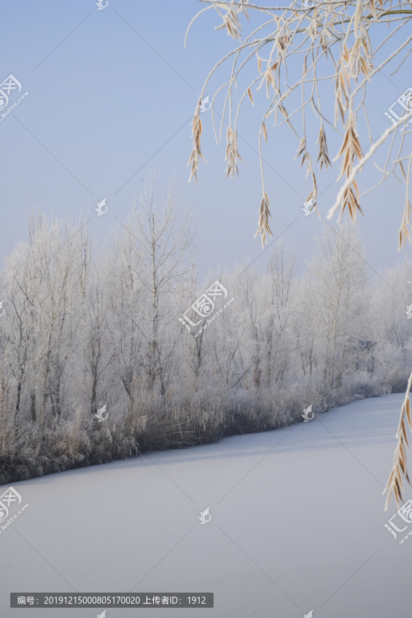 雪林