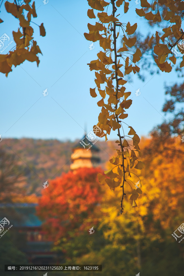 深秋灵谷寺