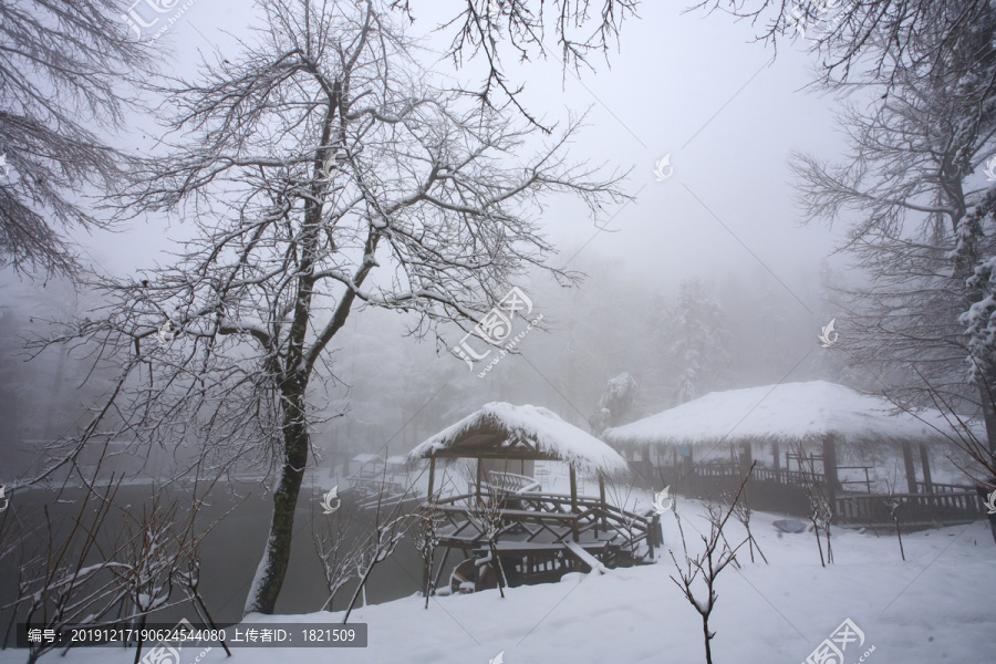 宁波奉化商量岗度假村雪景