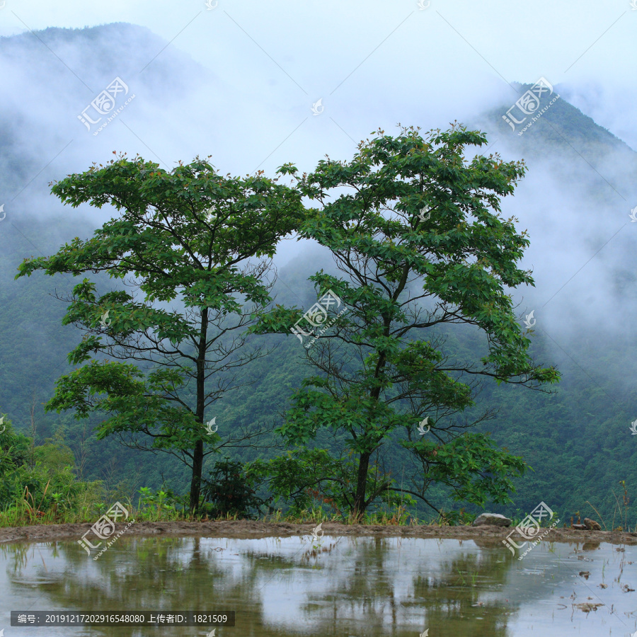 宁波宁海县黄坛县双峰国家森林公园美景