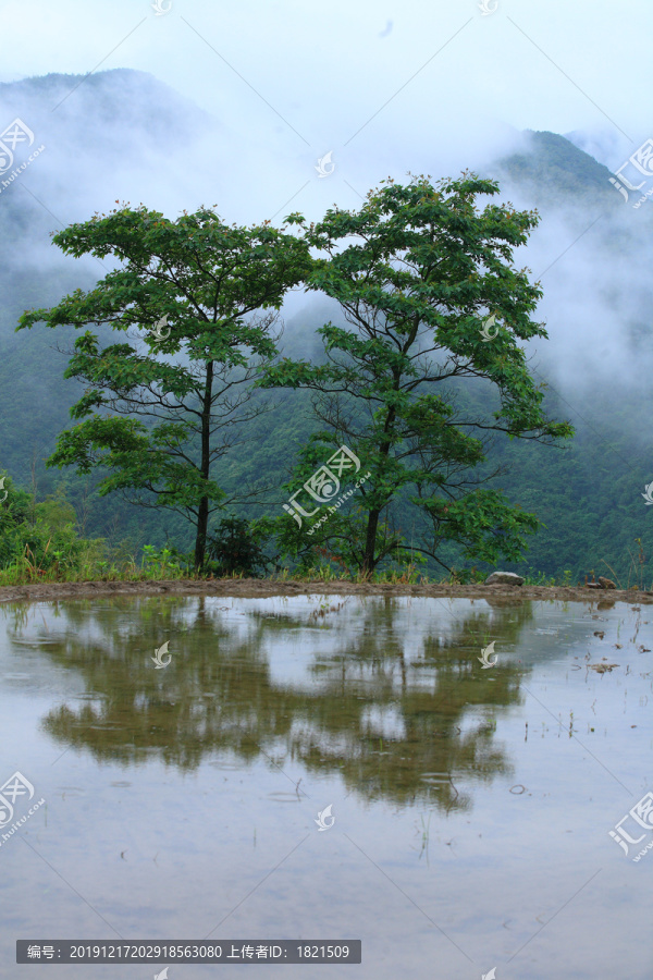 宁波宁海县黄坛县双峰国家森林公园美景