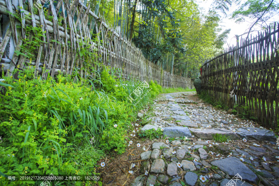 宁波慈溪国家登山健身步道风景