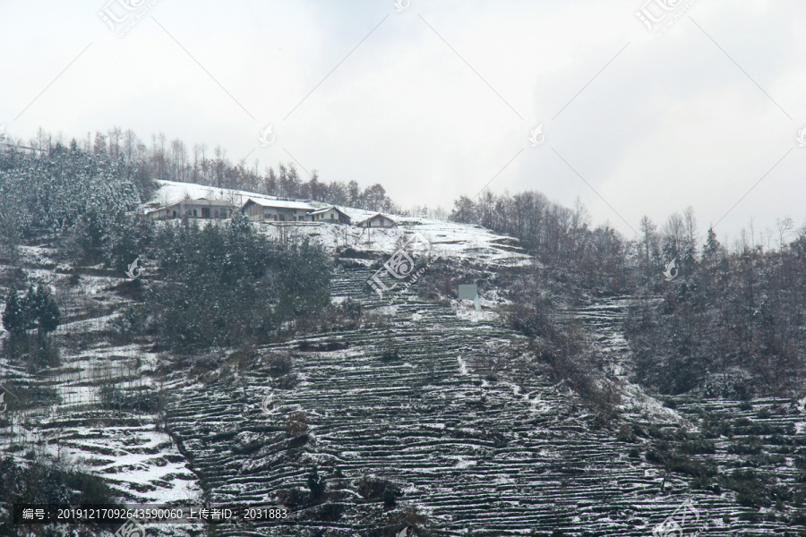 乡村雪景