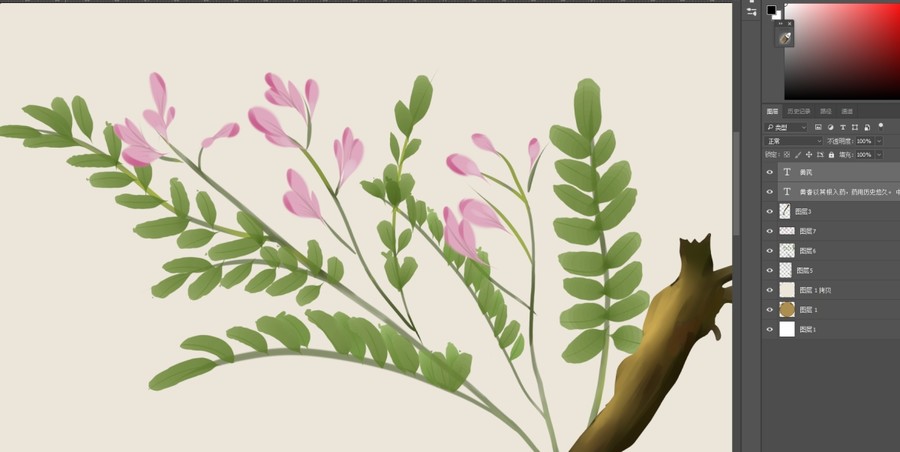 黃芪