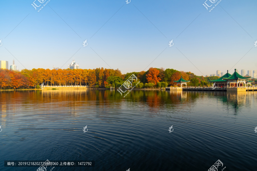 武汉东湖风景区深秋风光