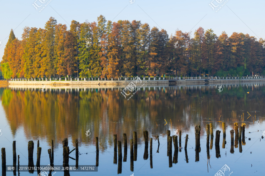 武汉东湖风景区深秋风光