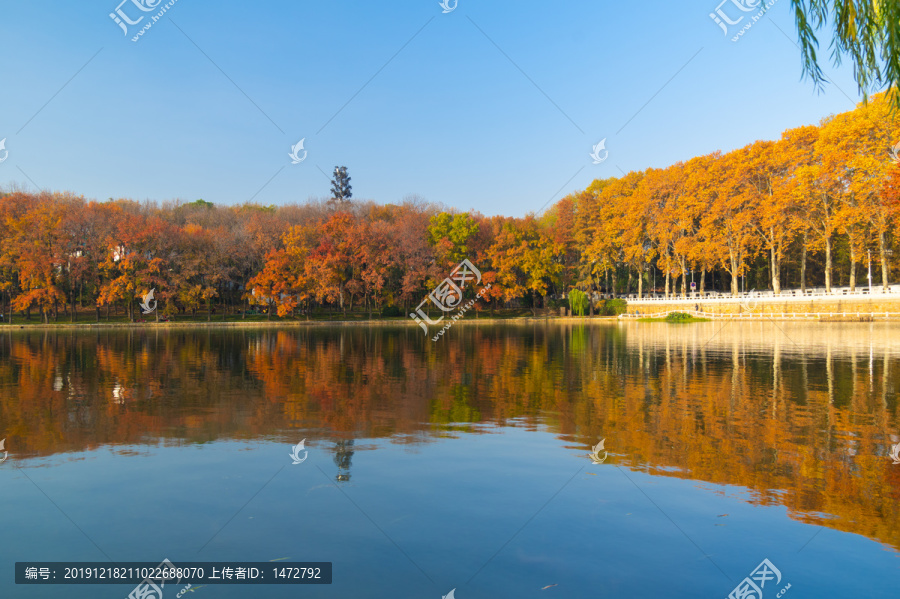 武汉东湖风景区深秋风光