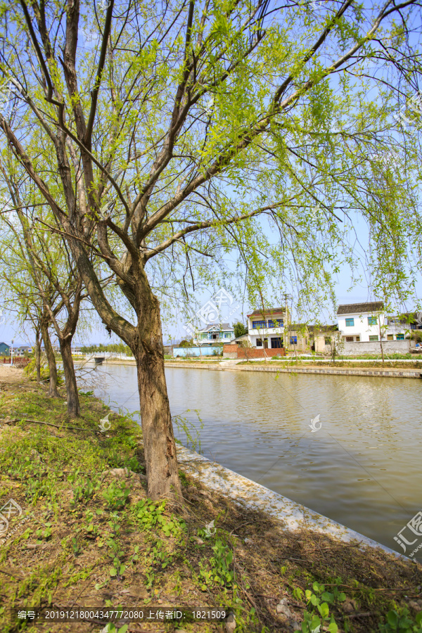 宁波鄞州咸祥镇大湖契河美景