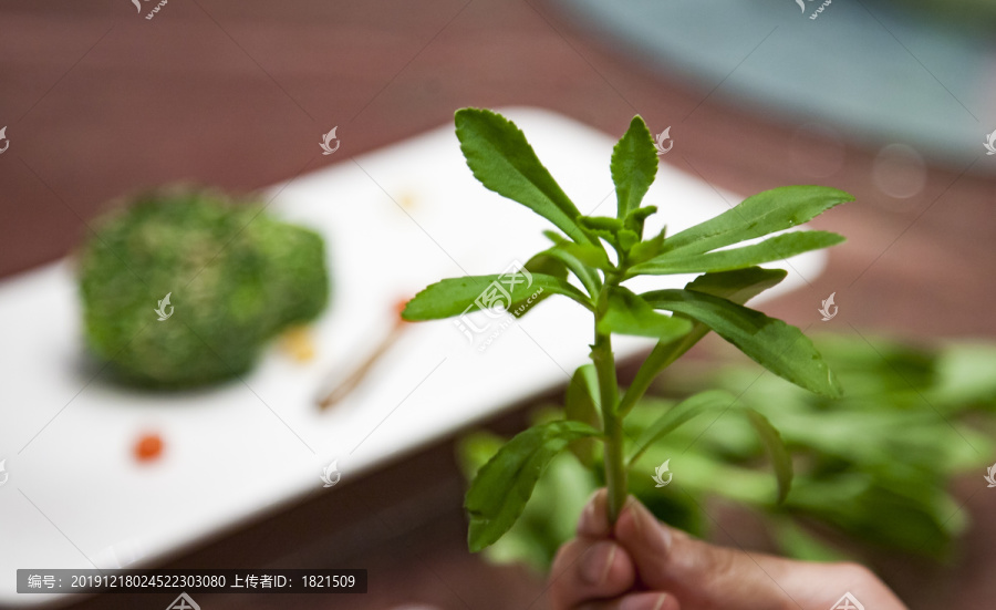 清炒野菜