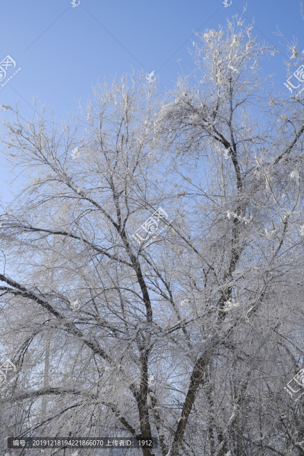 雪景