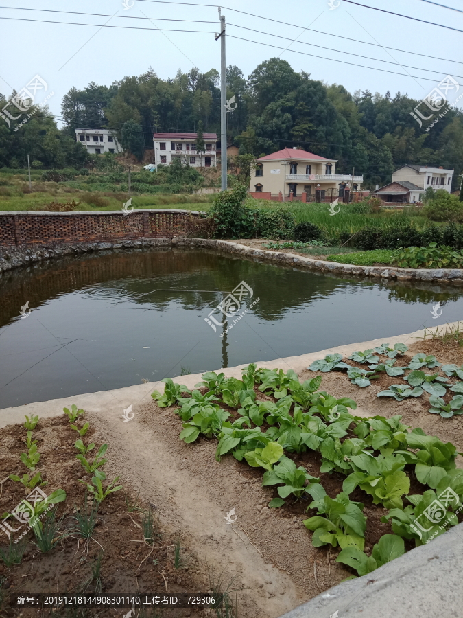 山清水秀新农村