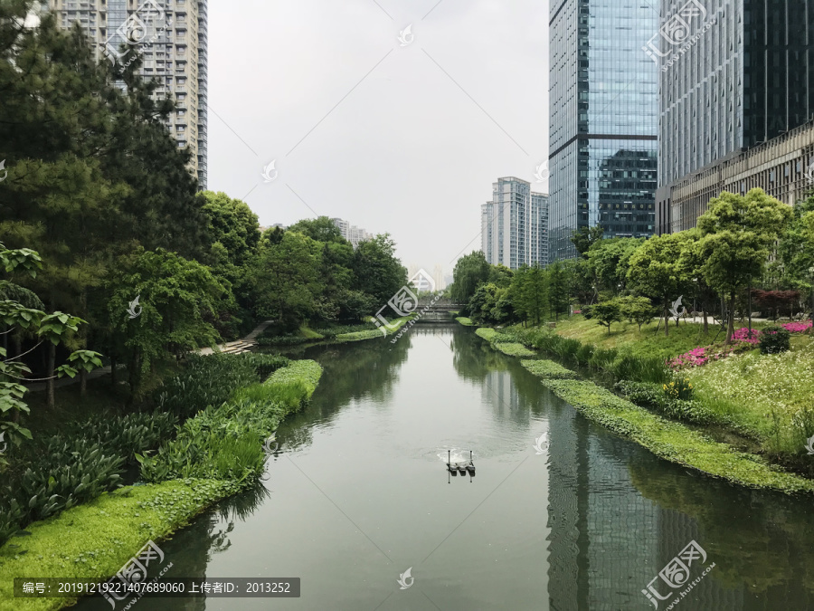 市区河道绿化