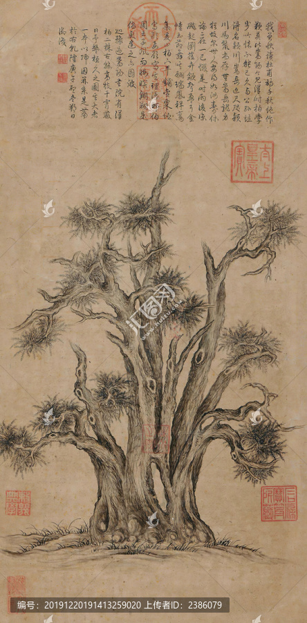 乾隆皇帝御筆漢柏圖