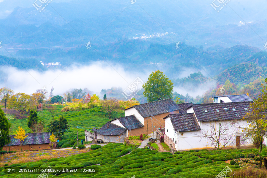 高山茶园古村风景画