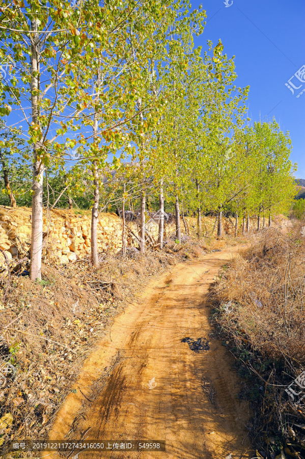 田野里的小路