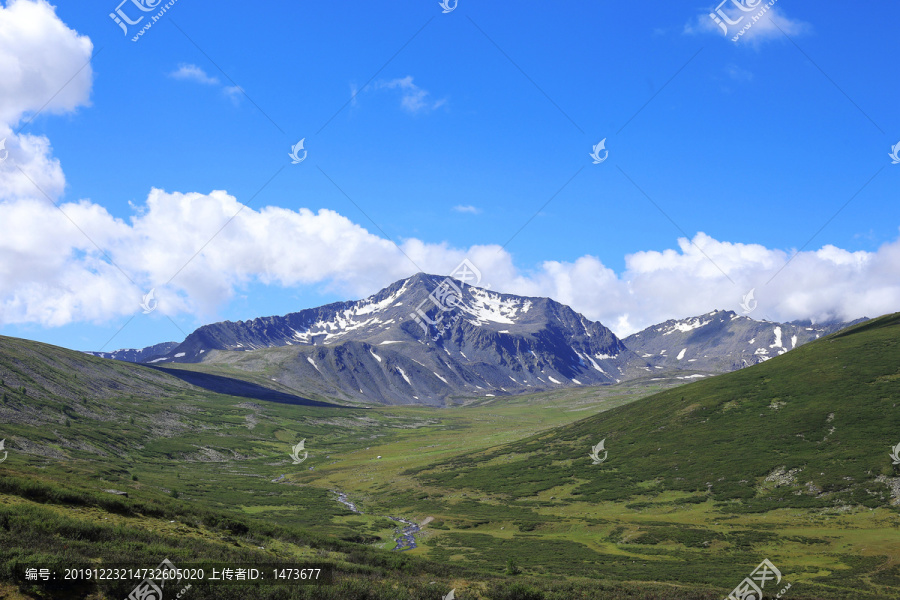 雪山下的牧场