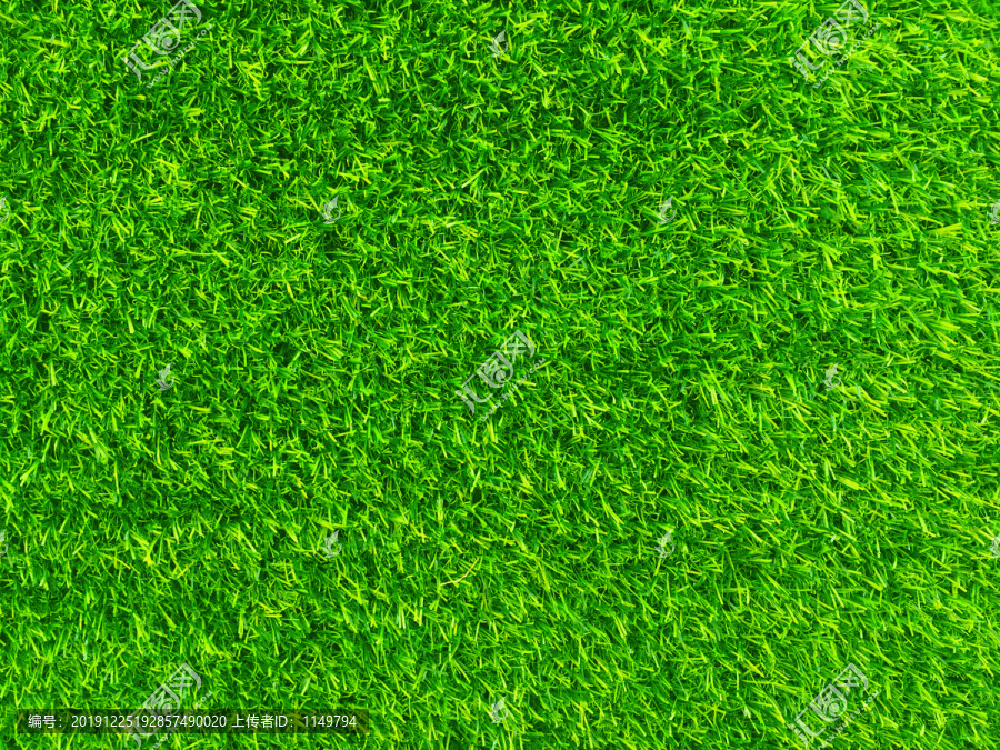 绿草坪