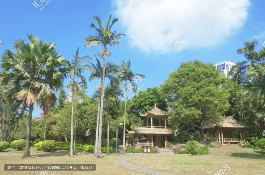 中山公园园林风景