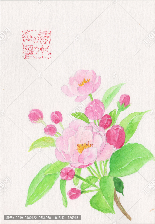 茉莉花朵水彩手繪