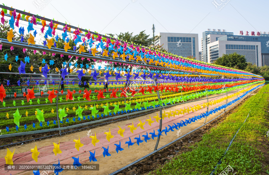 公园彩色风车装饰