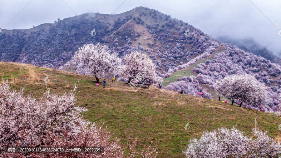 山花烂漫风景区