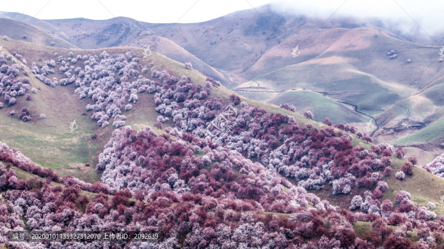 中华福寿山